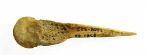 Awl
 Photographer:Clara Amit