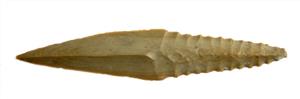 Amuq Arrowhead
 Photographer:Clara Amit