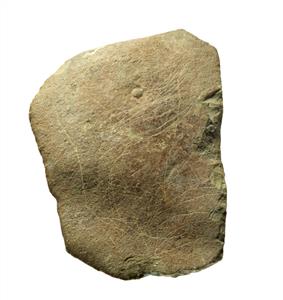 Slab (use unknown) Engraved
Photographer:Clara Amit