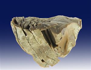 Refitted core (flint)
Photographer:Clara Amit