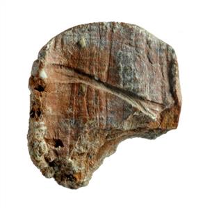 Bulla With Inscription
 Photographer:Clara Amit