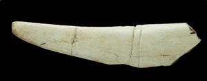 Handle Sickle Engraved
Photographer:Clara Amit