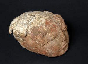 Plastered Human Skull
Photographer:Clara Amit