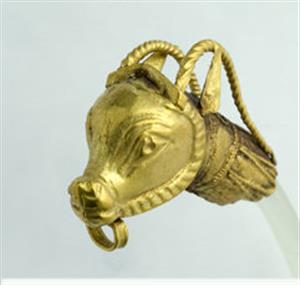 Earring Zoomorphic
Photographer:Clara Amit