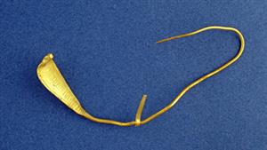 Crown (head) Egyptian
 Photographer:Clara Amit
