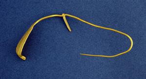 Crown (head) Egyptian
 Photographer:Clara Amit