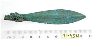 Arrowhead
 Photographer:Clara Amit