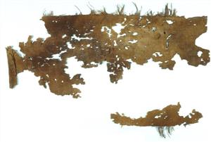 Fragment Textile
Photographer:Clara Amit