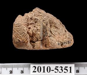 Fragment Stamp Seal Engraved  
 Photographer:Yolovitch Yael