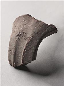 Handle Jar Impressed with Stamp-Seal Impression
 Photographer:Meidad Suchowolski