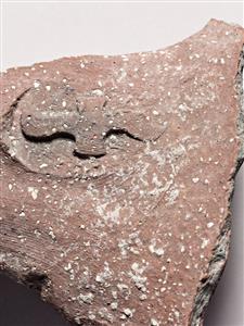 Handle Lammelek Jar Two-Winged lmlk Impression
Photographer:Meidad Suchowolski