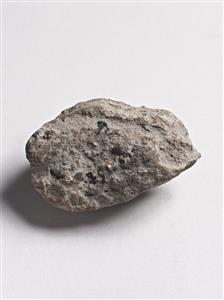 Bulla Egyptian 
 Photographer:Meidad Suchowolski
