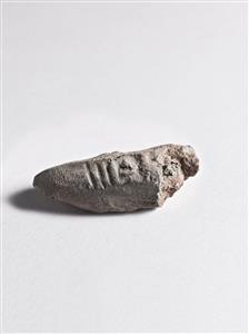 Bulla Egyptian 
 Photographer:Meidad Suchowolski