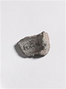 Bulla Egyptian 
 Photographer:Meidad Suchowolski