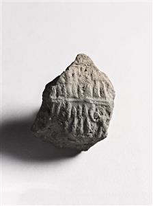 Bulla Egyptian 
 Photographer:Meidad Suchowolski