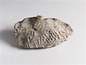 Bulla Egyptian 
 Photographer:Meidad Suchowolski