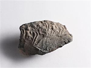 Bulla Egyptian 
 Photographer:Meidad Suchowolski