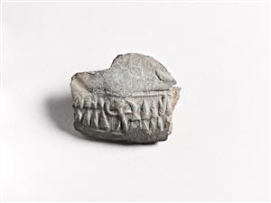 Bulla Egyptian 
 Photographer:Meidad Suchowolski