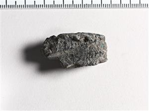 Bulla Egyptian 
 Photographer:Meidad Suchowolski
