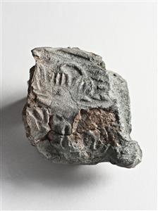 Bulla Egyptian 
 Photographer:Meidad Suchowolski