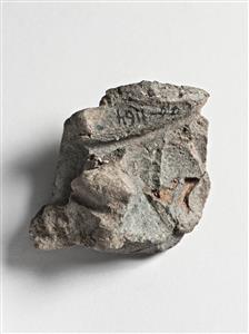 Bulla Egyptian 
 Photographer:Meidad Suchowolski