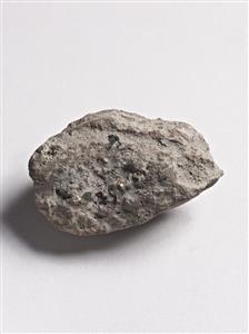 Bulla Egyptian 
 Photographer:Meidad Suchowolski