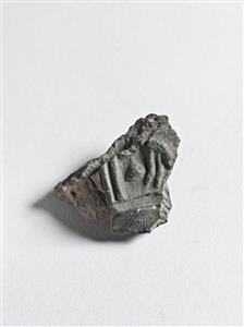 Bulla Egyptian
Photographer:Meidad Suchowolski