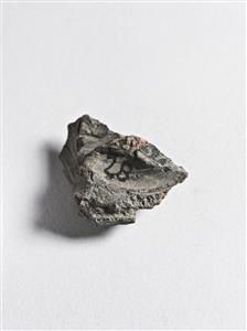 Bulla Egyptian
Photographer:Meidad Suchowolski