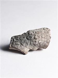 Bulla Egyptian 
 Photographer:Meidad Suchowolski
