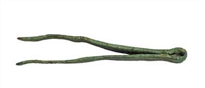 Tongs
Photographer:Clara Amit