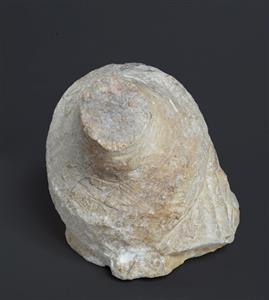 Head Statue Human Image  
 Photographer:Clara Amit