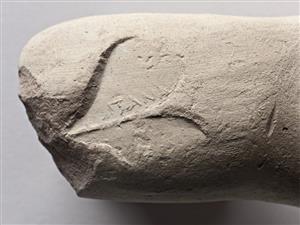 Handle Amphora Impressed with Stamp Seal
Photographer:Meidad Suchowolski