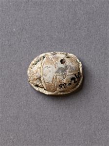 Scarab
Photographer:Meidad Suchowolski