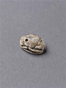 Scarab
Photographer:Meidad Suchowolski