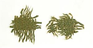 Fragment Textile  
 Photographer:Clara Amit