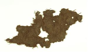 Fragment Textile
Photographer:Clara Amit