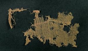Fragment Textile
Photographer:Clara Amit