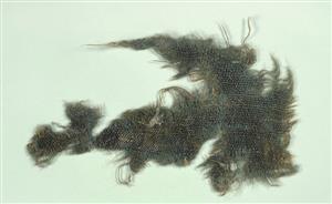 Fragment Textile
Photographer:Clara Amit