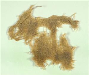 Fragment Textile
Photographer:Clara Amit