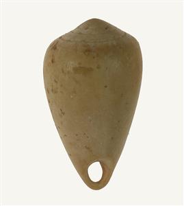 Bead (pierced shell)