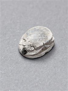 Scarab Hyksos 
 Photographer:Meidad Suchowolski