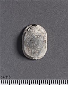 Scarab Hyksos 
 Photographer:Meidad Suchowolski