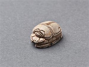 Scarab Hyksos 
 Photographer:Meidad Suchowolski