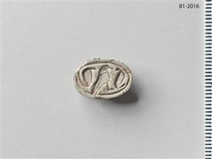 Scarab Hyksos
Photographer:Meidad Suchowolski