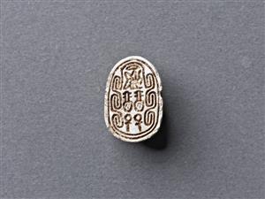 Scarab
Photographer:Meidad Suchowolski