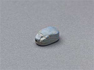Scarab
Photographer:Meidad Suchowolski