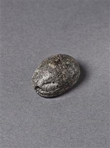 Scarab
Photographer:Meidad Suchowolski