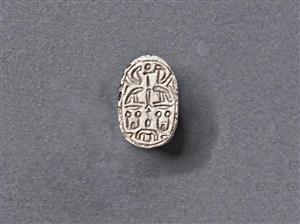Scarab
Photographer:Meidad Suchowolski