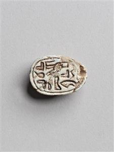 Scarab Hyksos 
 Photographer:Meidad Suchowolski