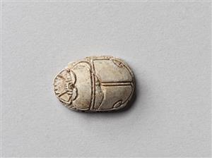 Scarab Hyksos 
 Photographer:Meidad Suchowolski